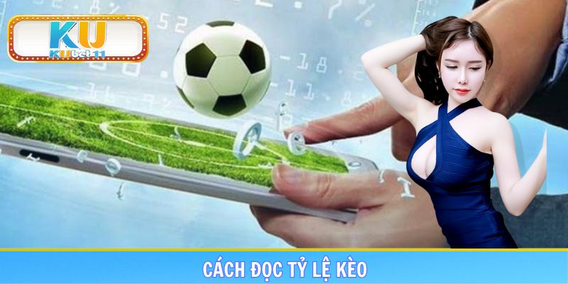 Cách Đọc Tỷ Lệ Kèo Dễ Hiểu Nhất Cho Người Mới Nhập Môn